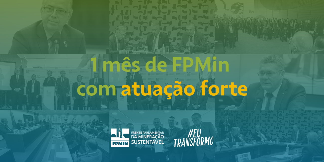 Ações fortes e mobilização marcam um mês de instalação da FPMin